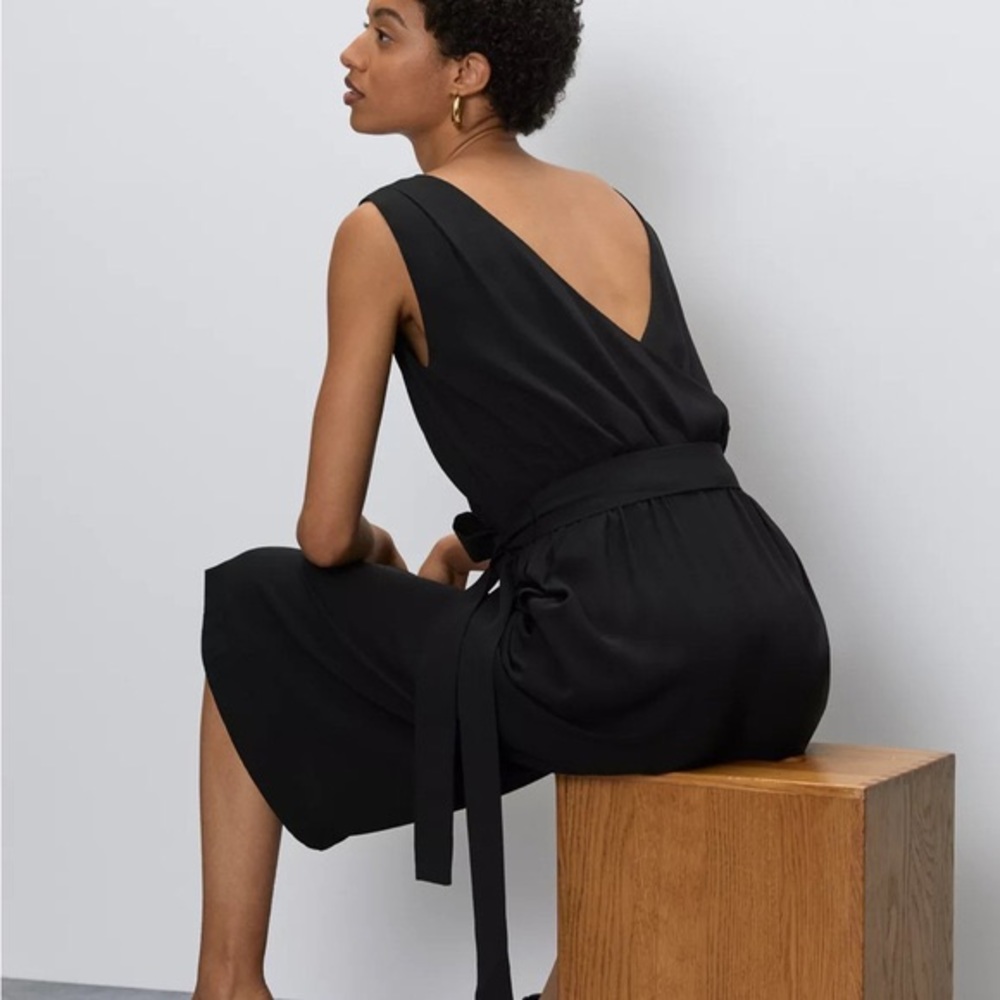 Aritzia Babaton Jumpsuit - Picture 6 of 12
